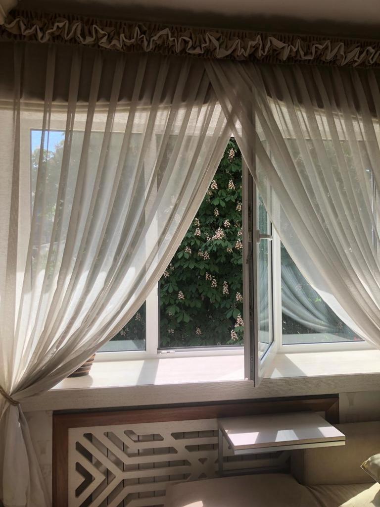 Cozy Studio Apartment In The Center Of Ρίγα Εξωτερικό φωτογραφία